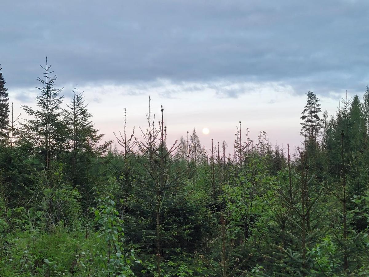 Vaelituvan Lomamoekit Punkaharju Exteriör bild