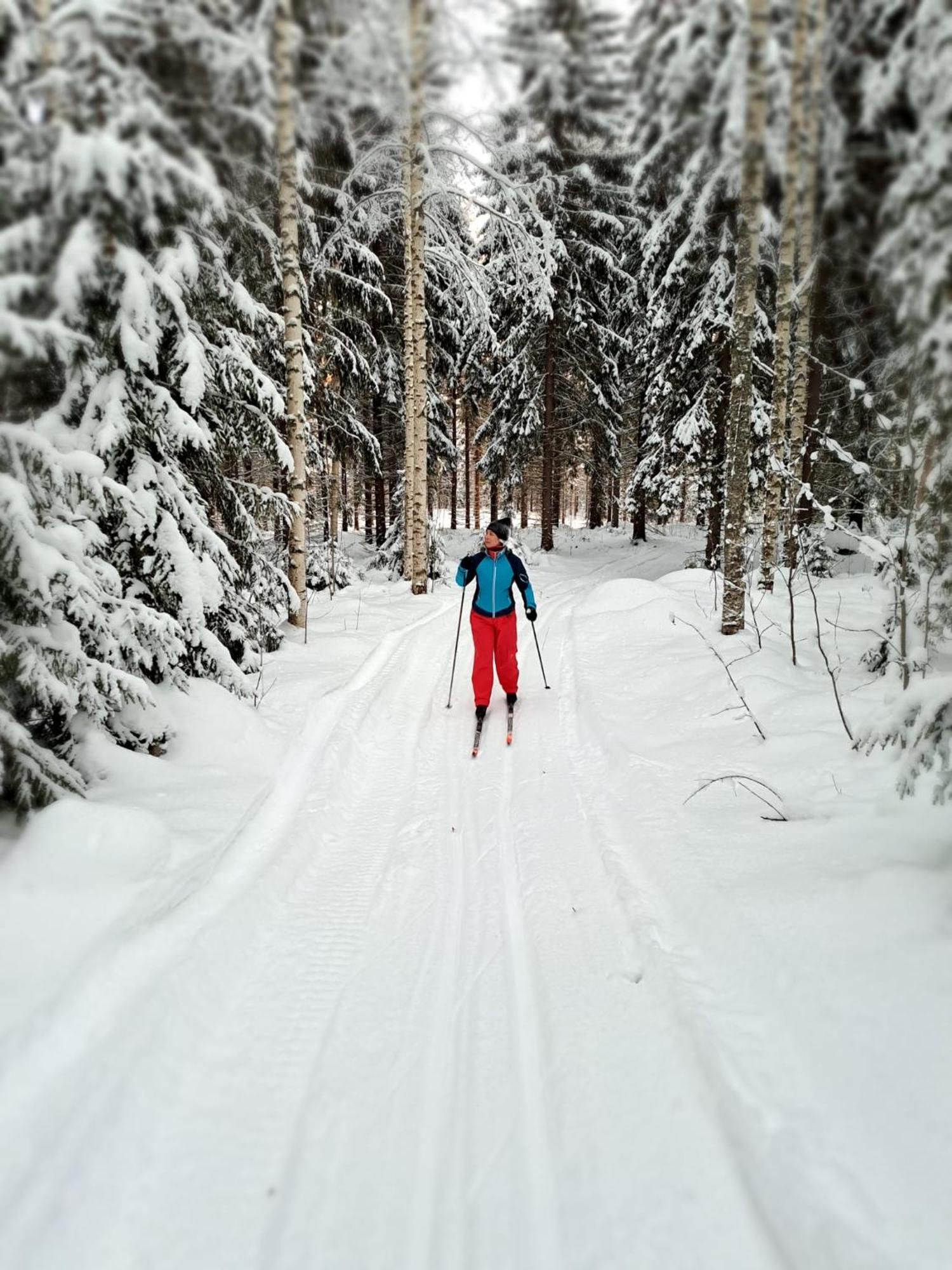 Vaelituvan Lomamoekit Punkaharju Exteriör bild